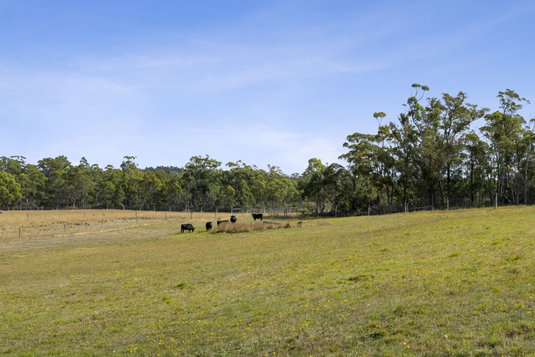 90 Dam Road, Saltwater River, TAS, 7186