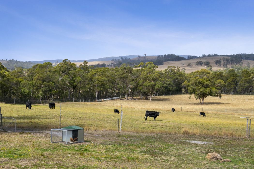 90 Dam Road, Saltwater River, TAS, 7186