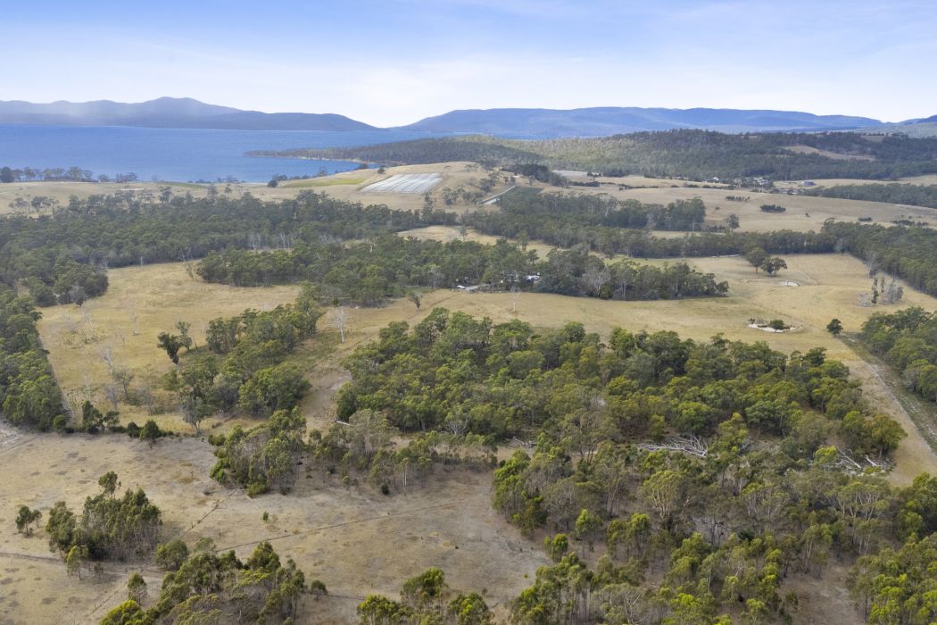 90 Dam Road, Saltwater River, TAS, 7186