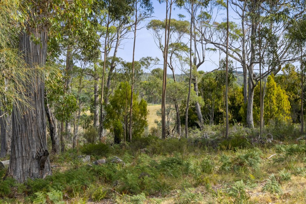 90 Dam Road, Saltwater River, TAS, 7186