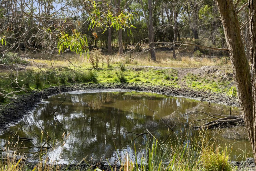 90 Dam Road, Saltwater River, TAS, 7186