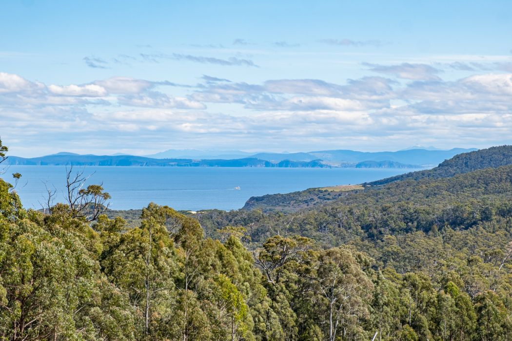 Lot D-E 493 Hurdle Road, Saltwater River, TAS, 7186