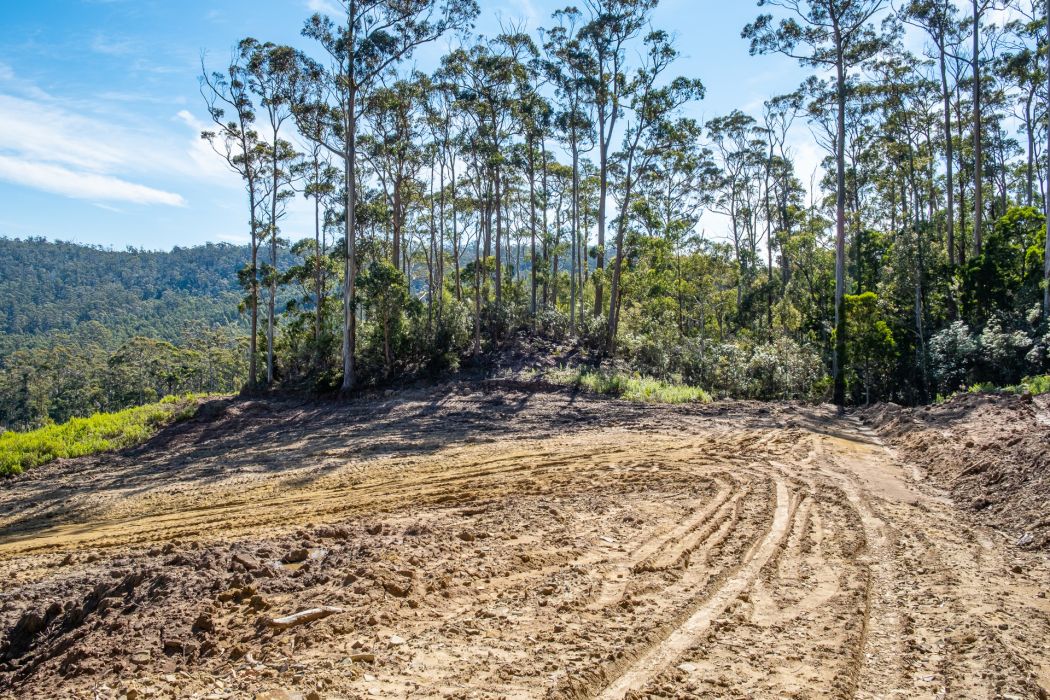 Lot D-E 493 Hurdle Road, Saltwater River, TAS, 7186