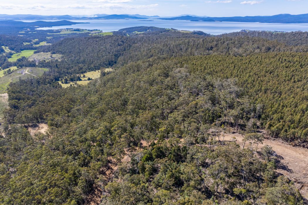 Lot D-E 493 Hurdle Road, Saltwater River, TAS, 7186