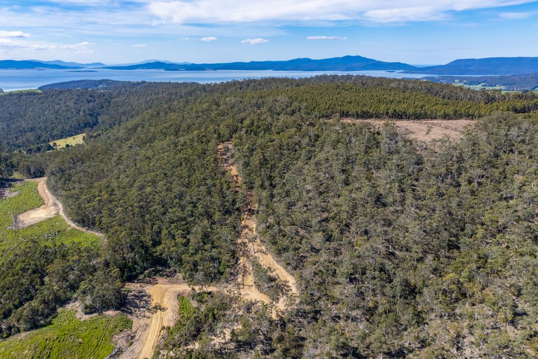Lot D-E 493 Hurdle Road, Saltwater River, TAS, 7186