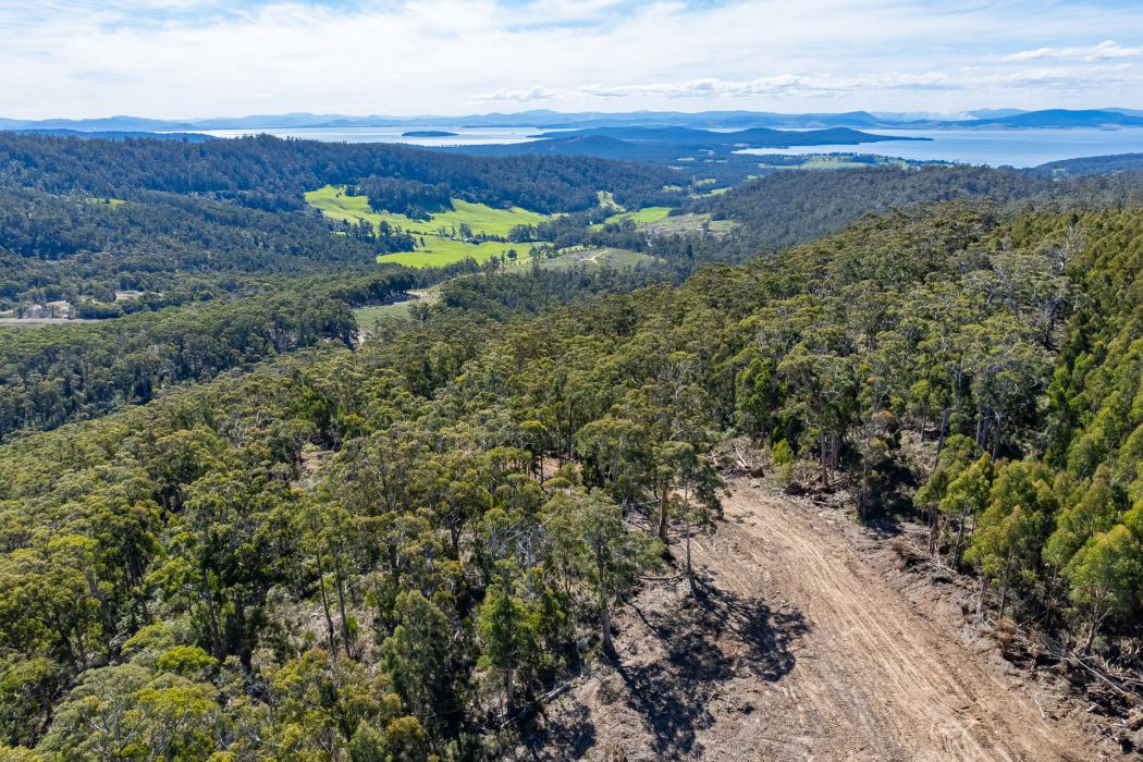 Lot D-E 493 Hurdle Road, Saltwater River, TAS, 7186