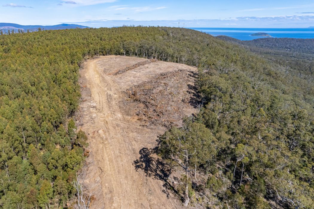 Lot D-E 493 Hurdle Road, Saltwater River, TAS, 7186