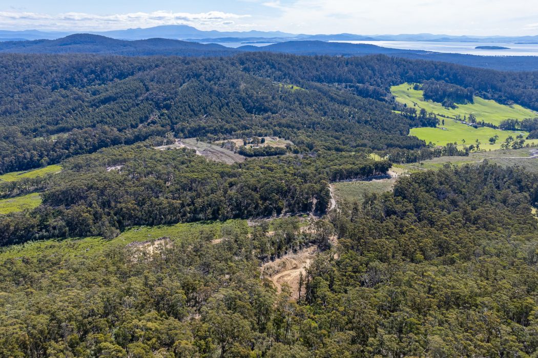 Lot D-E 493 Hurdle Road, Saltwater River, TAS, 7186