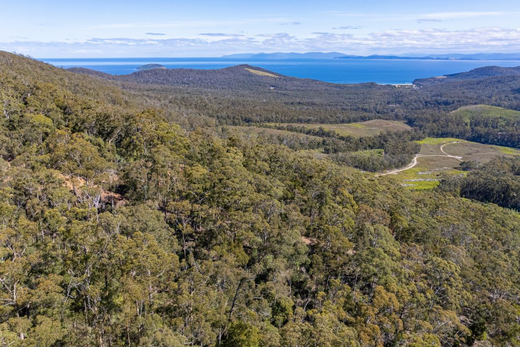 Lot D-E 493 Hurdle Road, Saltwater River, TAS, 7186