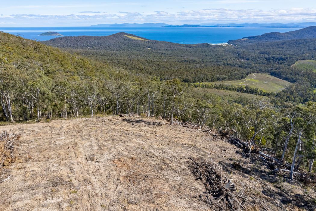 Lot D-E 493 Hurdle Road, Saltwater River, TAS, 7186