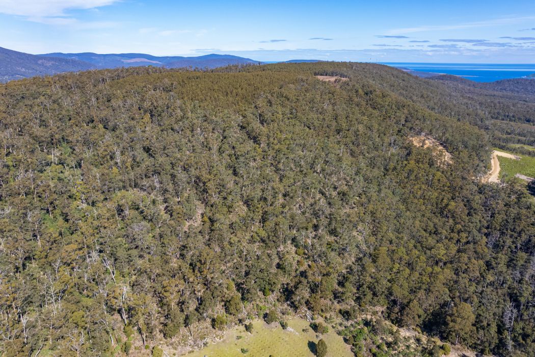Lot D-E 493 Hurdle Road, Saltwater River, TAS, 7186