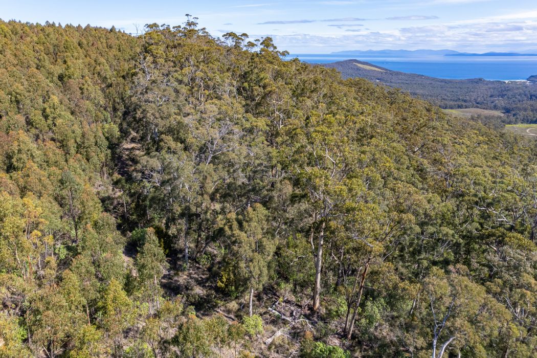 Lot D-E 493 Hurdle Road, Saltwater River, TAS, 7186