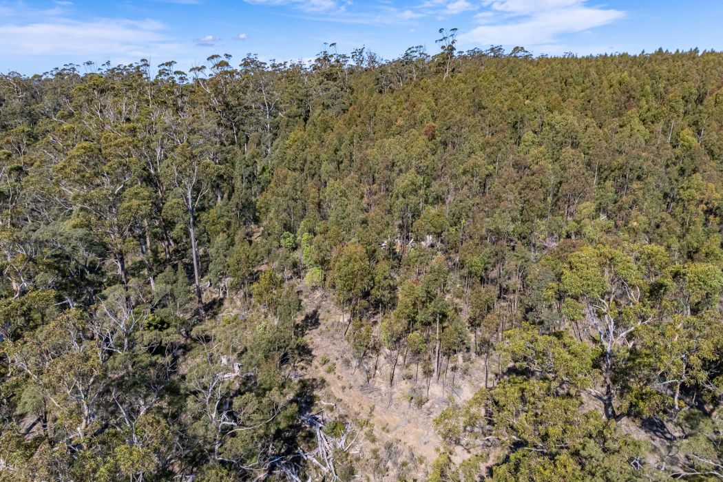 Lot D-E 493 Hurdle Road, Saltwater River, TAS, 7186