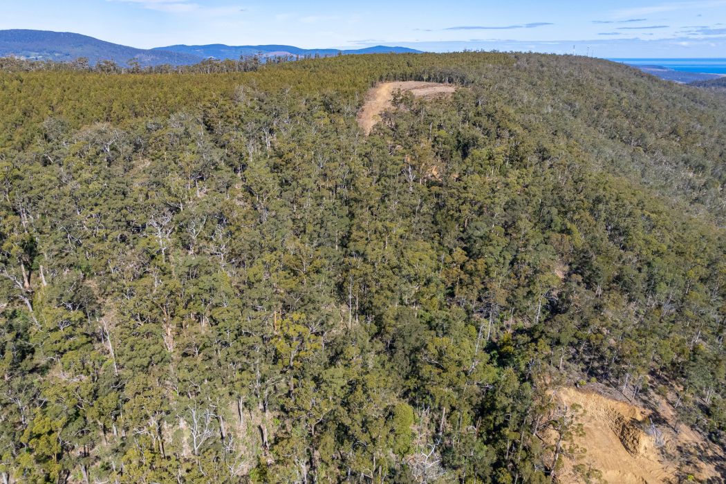 Lot D-E 493 Hurdle Road, Saltwater River, TAS, 7186
