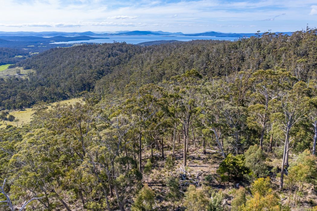 Lot D-E 493 Hurdle Road, Saltwater River, TAS, 7186