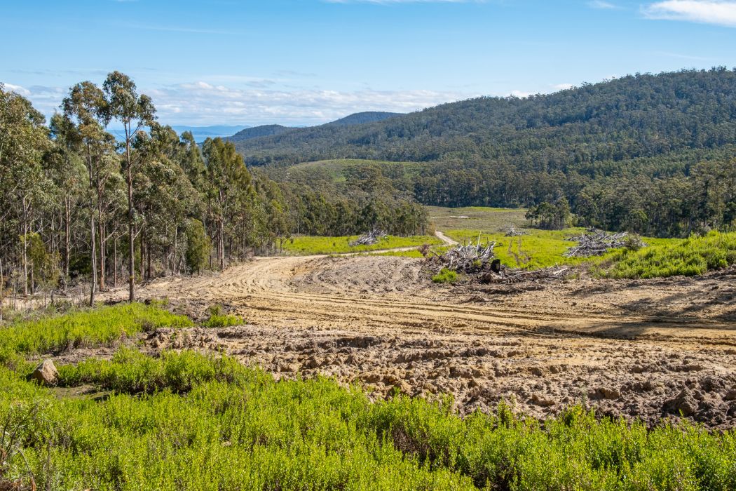 Lot D-E 493 Hurdle Road, Saltwater River, TAS, 7186