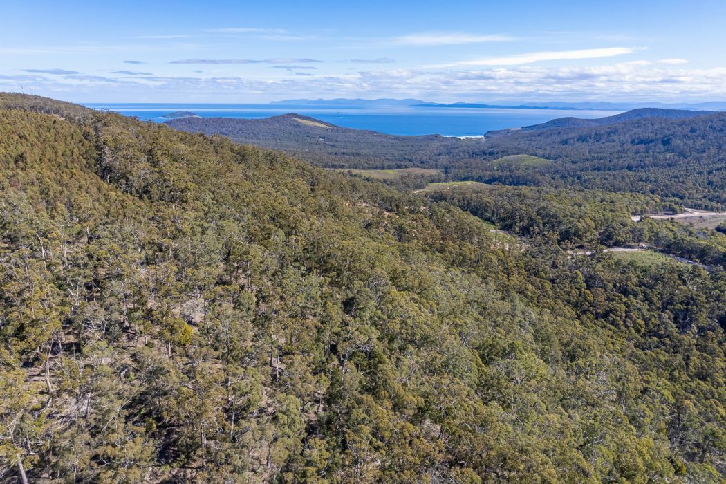 Lot D-E 493 Hurdle Road, Saltwater River, TAS, 7186