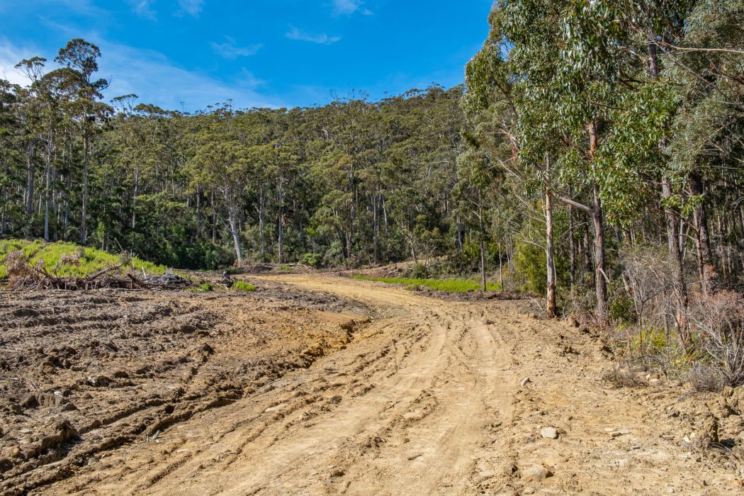 Lot D-E 493 Hurdle Road, Saltwater River, TAS, 7186