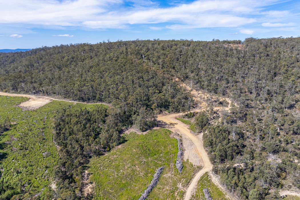 Lot D-E 493 Hurdle Road, Saltwater River, TAS, 7186