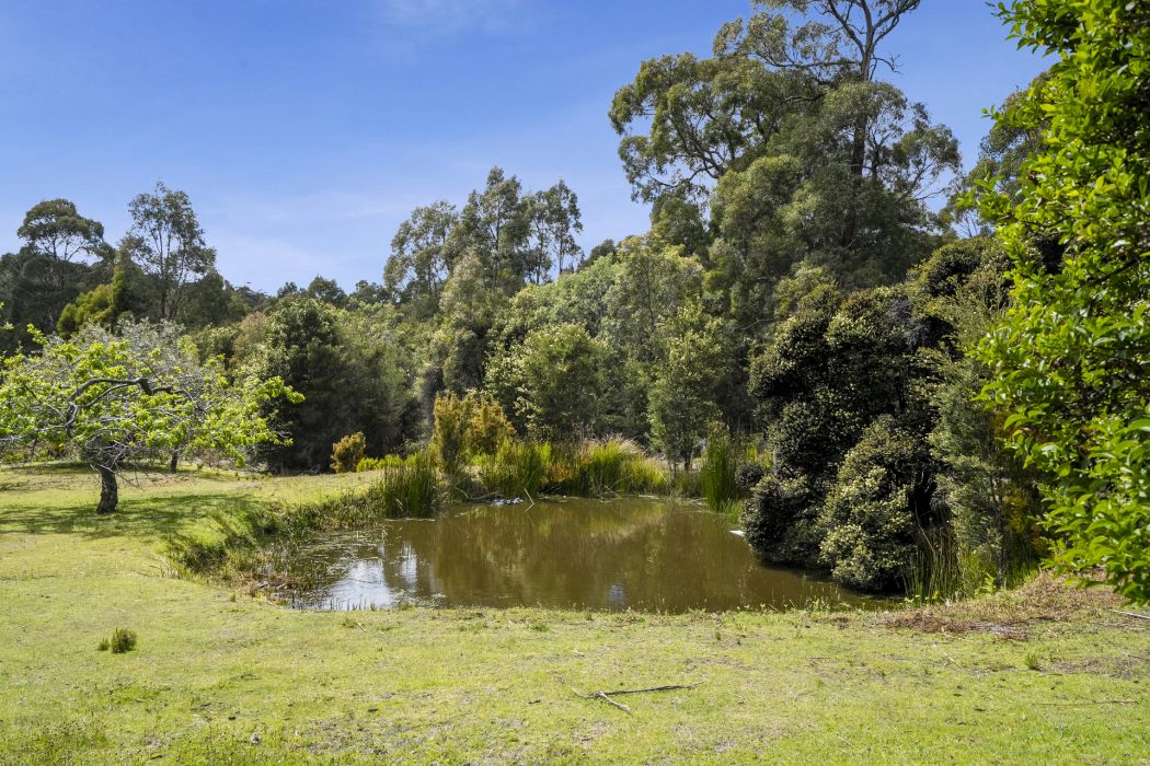 4 Radnors Road, Port Arthur, TAS, 7182