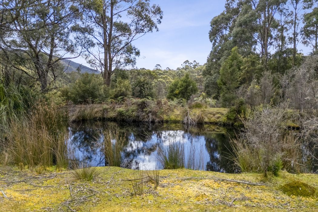 4 Radnors Road, Port Arthur, TAS, 7182