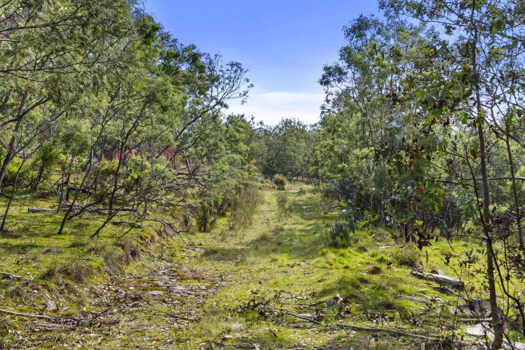 17 Topley Drive, Forcett, TAS, 7173