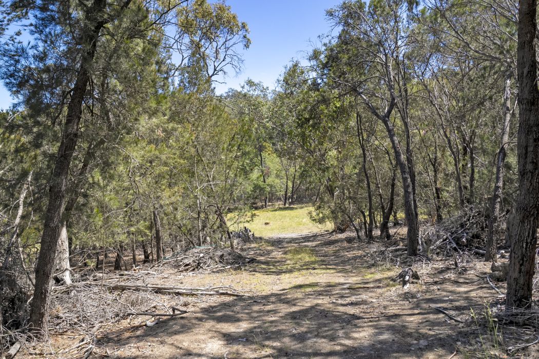 4 Grierson Drive, Forcett, TAS, 7173