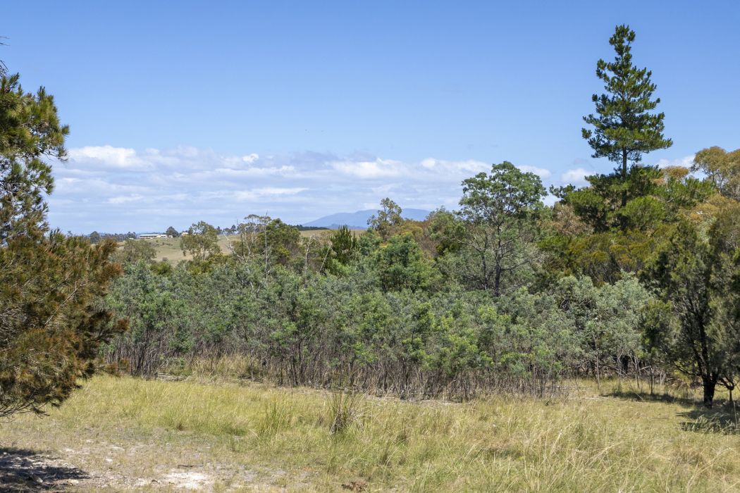 4 Grierson Drive, Forcett, TAS, 7173