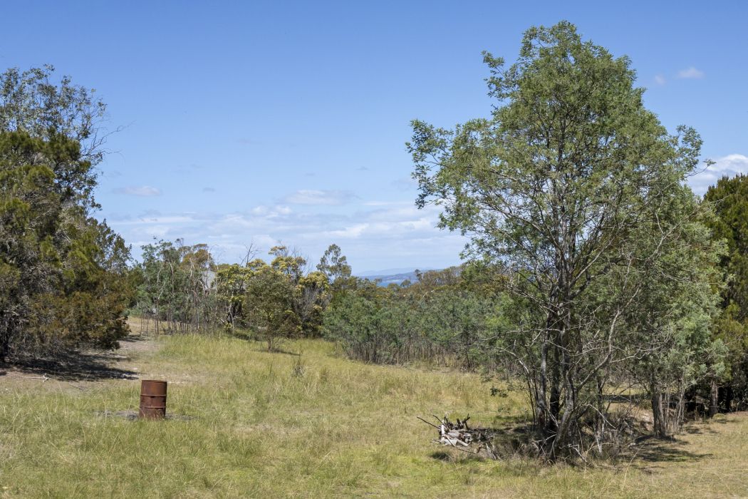 4 Grierson Drive, Forcett, TAS, 7173