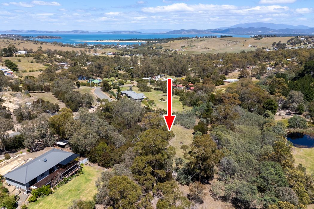 4 Grierson Drive, Forcett, TAS, 7173