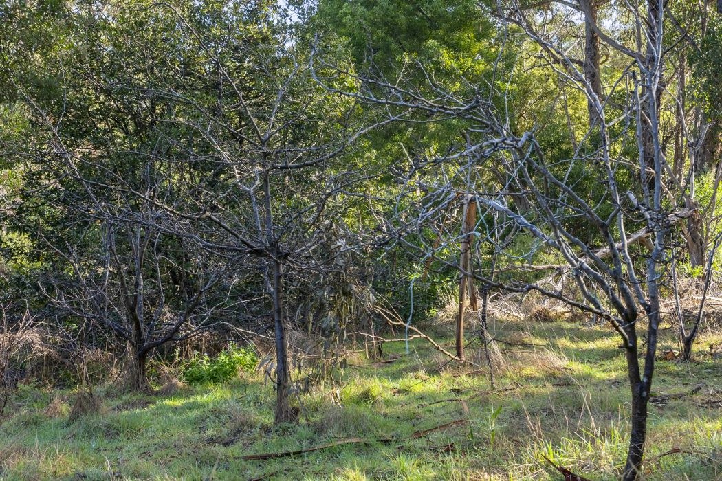60 Coolstore Road, Premaydena, TAS, 7185