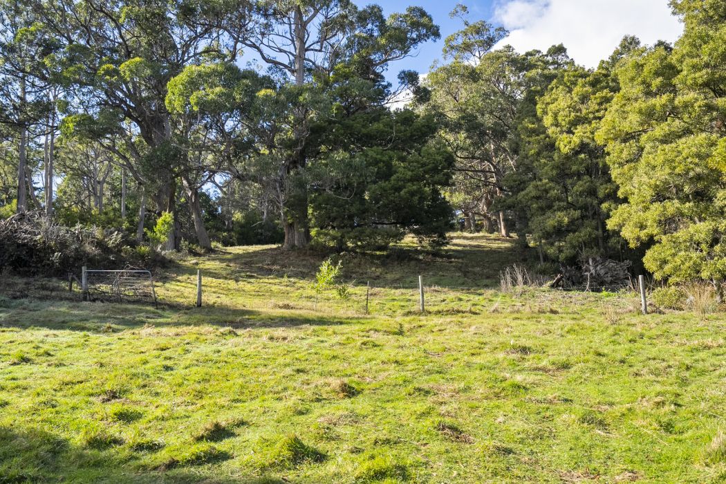 60 Coolstore Road, Premaydena, TAS, 7185