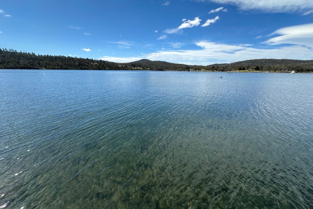 1 Sommers Bay Road, Murdunna, TAS, 7178