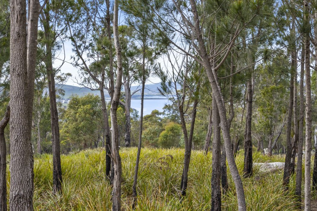 6 Correa Street, Primrose Sands, TAS, 7173