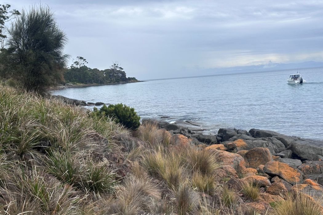 36 Spaulding Street, White Beach, TAS, 7184