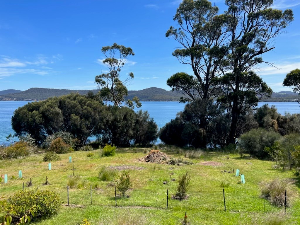 36 Spaulding Street, White Beach, TAS, 7184