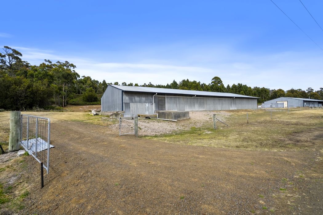 Lot 1, 4 Duck Creek Road, Murdunna, TAS, 7178