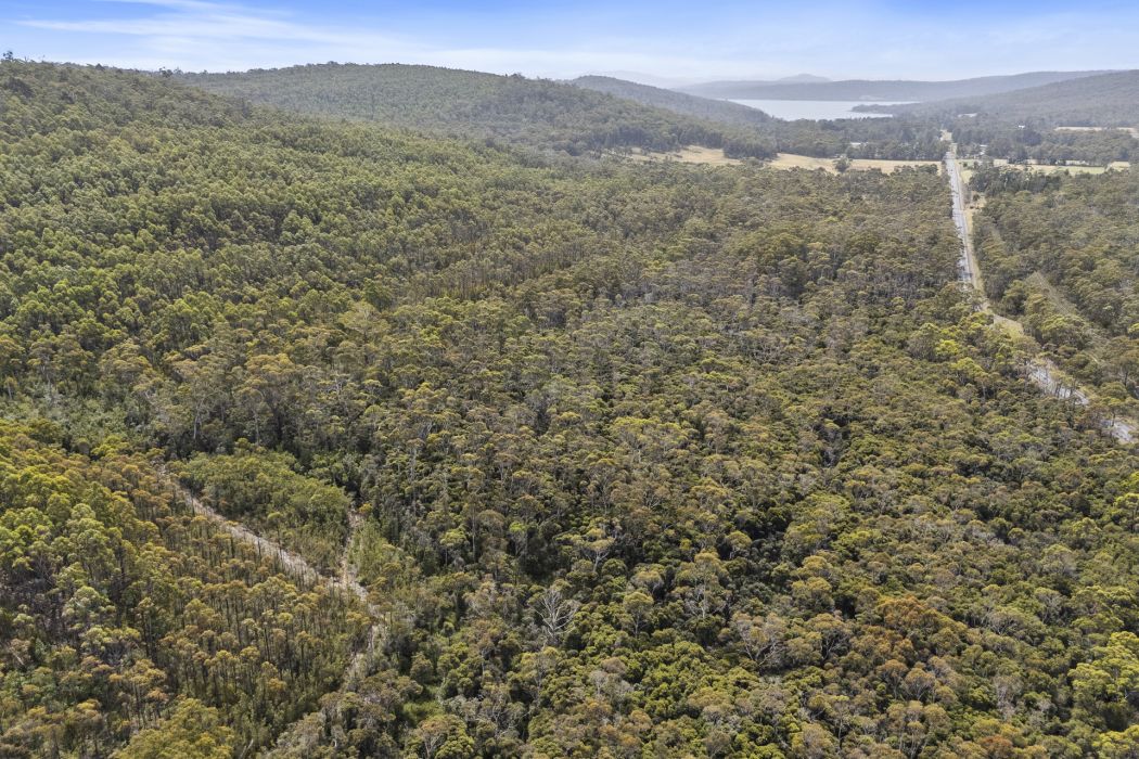 6184 Arthur Highway, Taranna, TAS, 7180