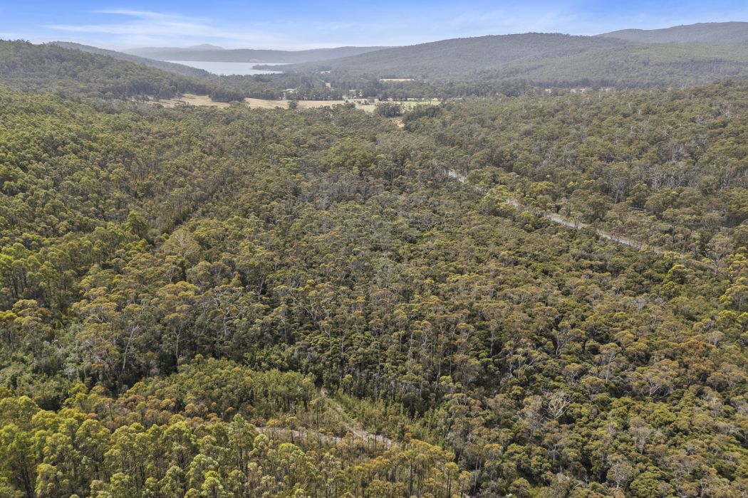 6184 Arthur Highway, Taranna, TAS, 7180