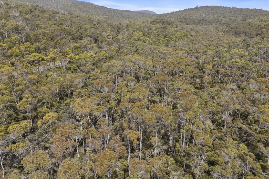 6184 Arthur Highway, Taranna, TAS, 7180