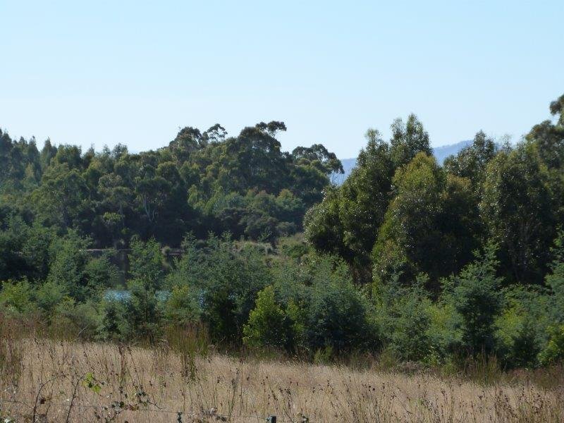 510 Dam Road, Saltwater River, TAS, 7186