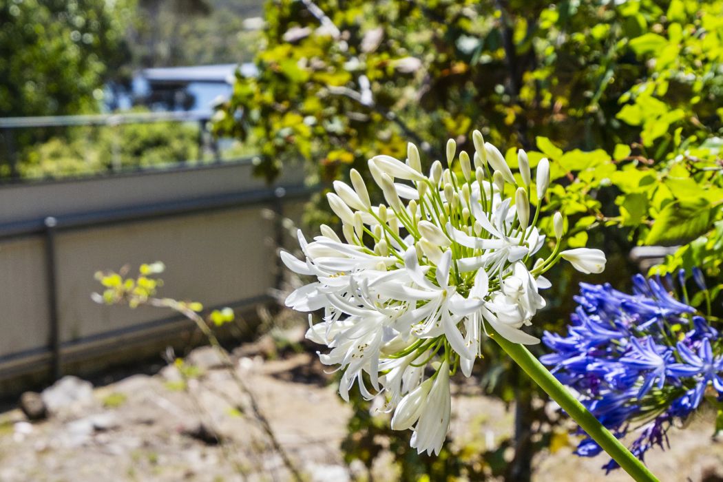 67 Sommers Bay Road, Murdunna, TAS, 7178
