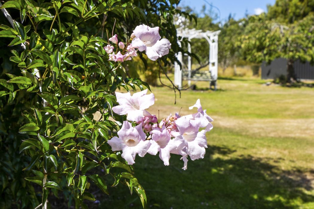 5909 Arthur Highway, Taranna, TAS, 7180