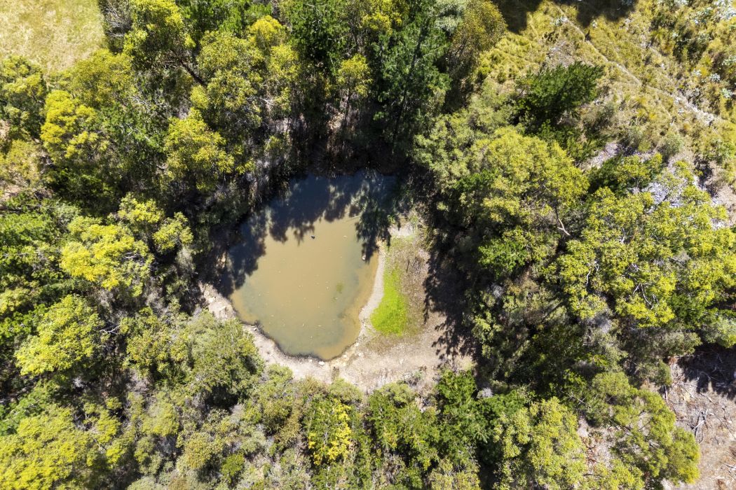 5909 Arthur Highway, Taranna, TAS, 7180