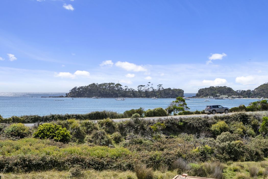 42 Penzance Road, Eaglehawk Neck, TAS, 7179
