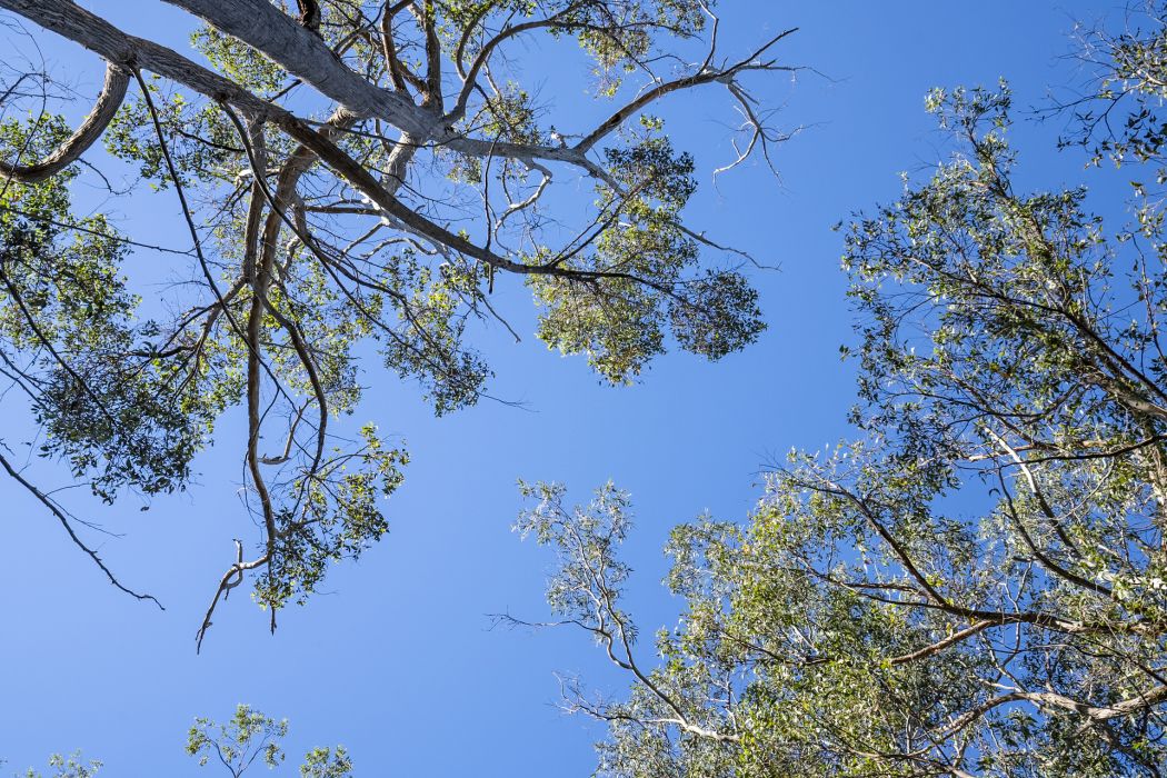 27 Reef View Road, Murdunna, TAS, 7178