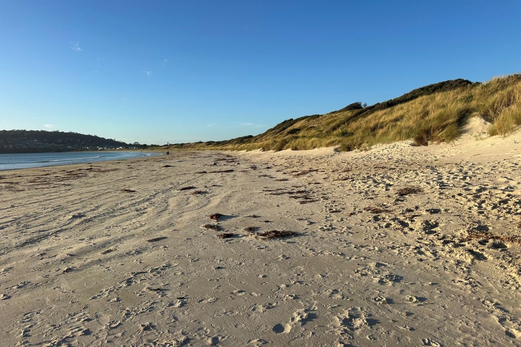 8 Oak Street, Primrose Sands, TAS, 7173