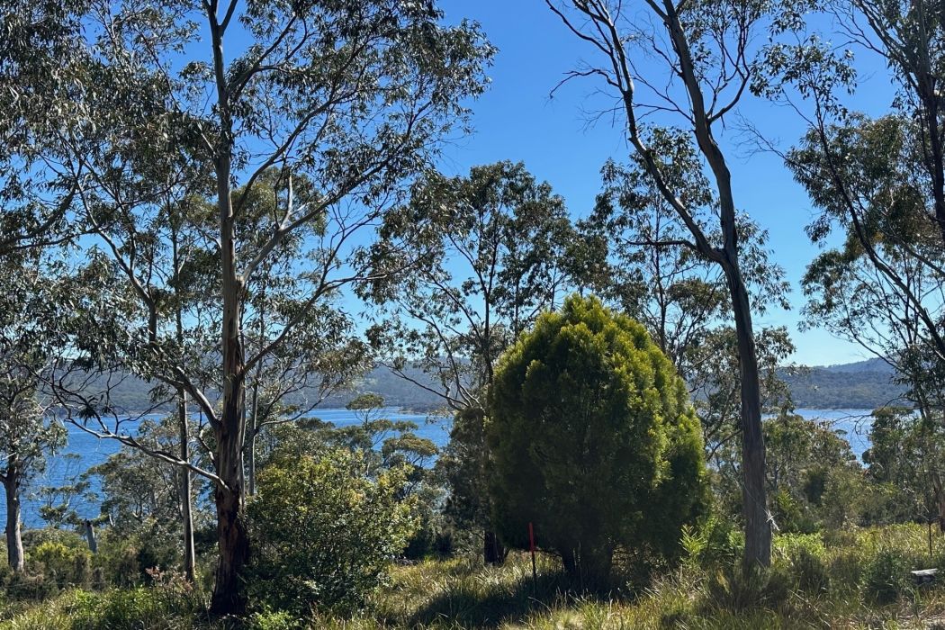 512 White Beach Road, White Beach, TAS, 7184