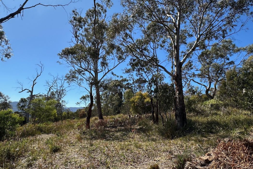 512 White Beach Road, White Beach, TAS, 7184