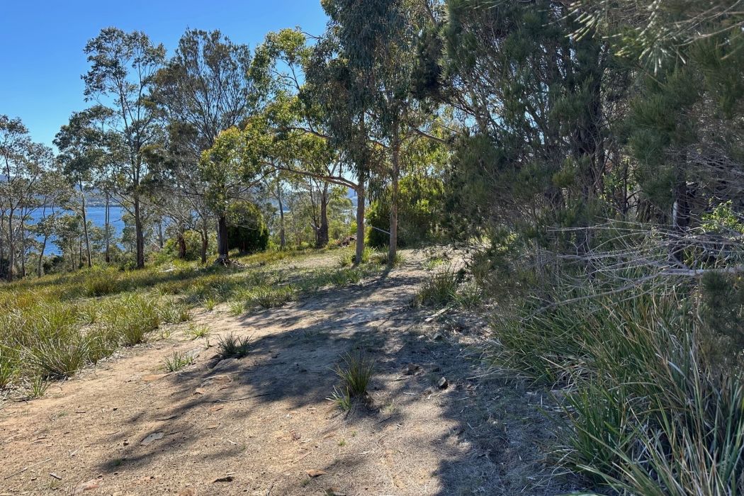 512 White Beach Road, White Beach, TAS, 7184